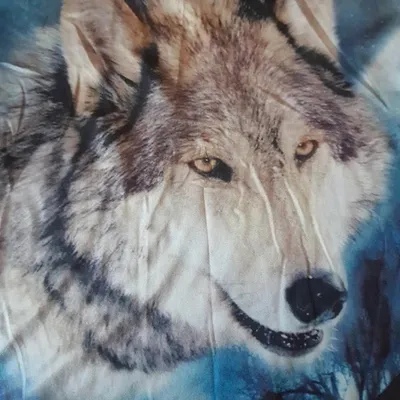 T-shirt garçon 4 ans